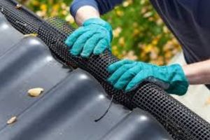 South Shore Window Cleaning - The Best Time of the Year to Clean Your Gutters