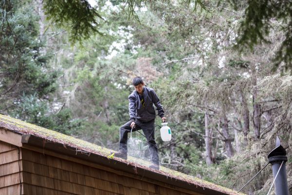 Chemical Roof Cleaning, Roof Cleaning, South Shore Window Cleaning