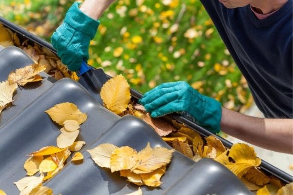South Shore Window Cleaning - Gutter Cleaning Service