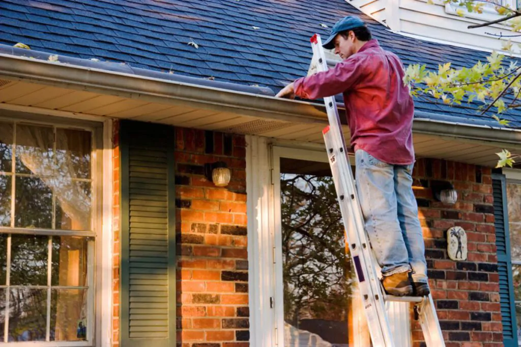 Professional Gutter Cleaners - South Shore Window Cleaning