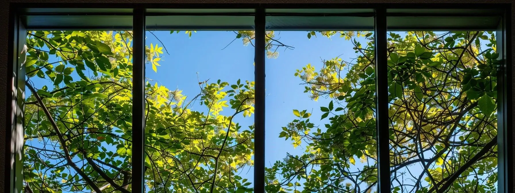 a sparkling clean window reflecting a clear blue sky and leafy green trees.